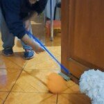 videocapture_20230717-192646